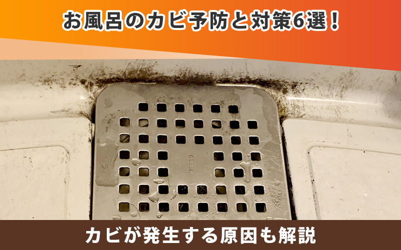 【今日からできる】お風呂のカビ予防と対策6選！原因も解説